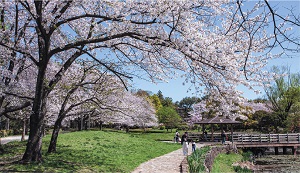 西城沼公園