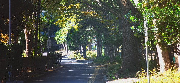 中央公園