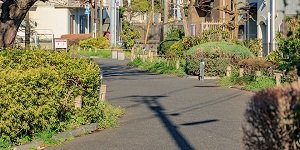 玉川上水第二緑道