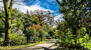 玉川上水旧水路緑道