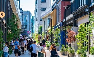 ミカン下北