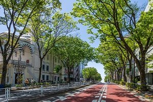 代々木上原駅前ケヤキ並木