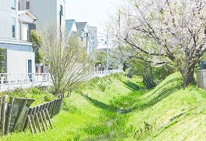 第三号橋