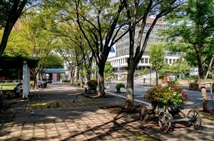後谷公園