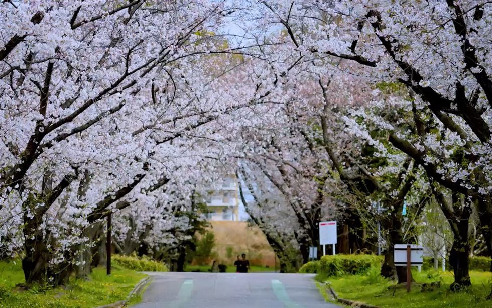 庄内緑地
