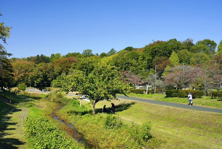 武蔵野公園