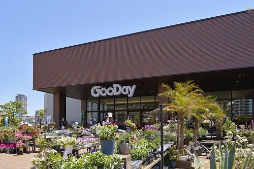 グッディ姪浜店