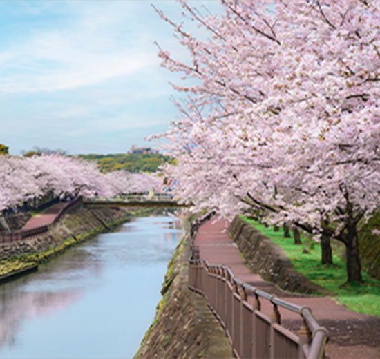 平和市民公園