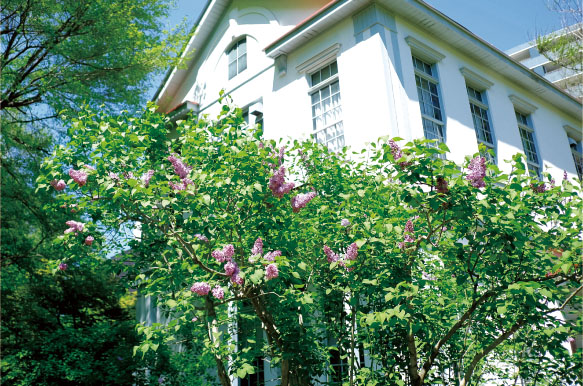 北海道大学植物園