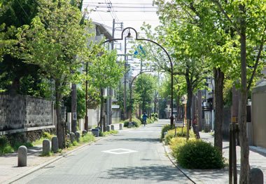 ピッコロ通り
