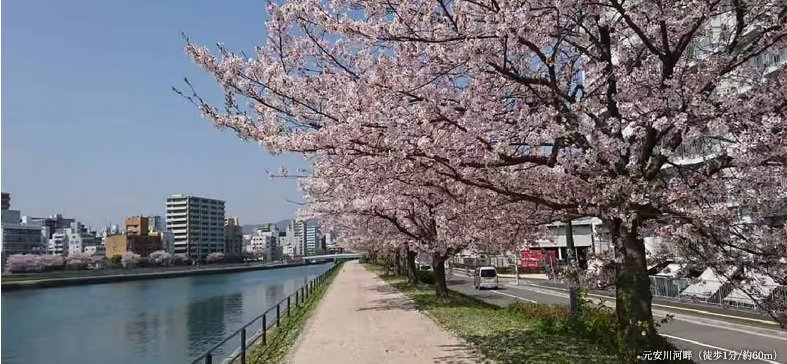 元安川河畔