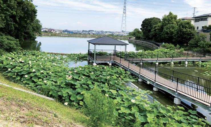 長池オアシス公園