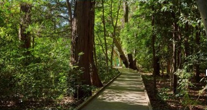 宇都宮記念公園みどりの森