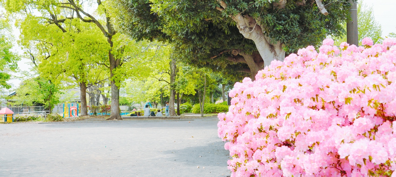 しらゆり公園