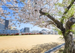 城巽公園