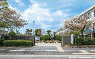 指定通学校
市立白鷺小中学校