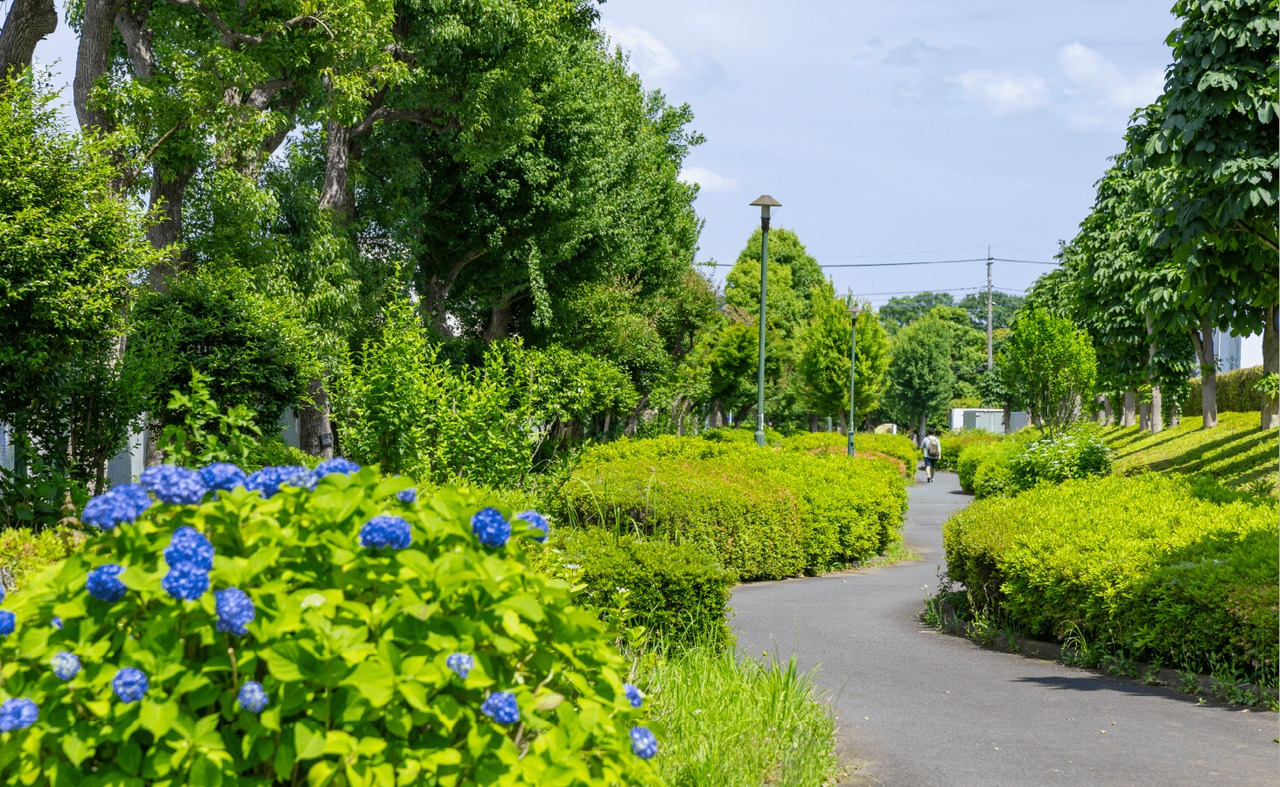 第三都市遊歩道