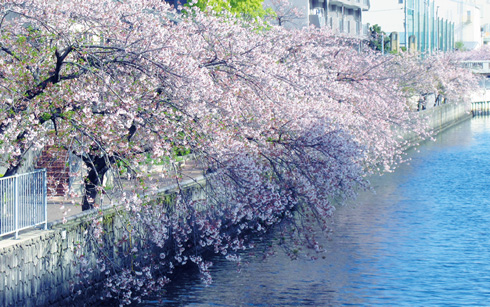 城北川