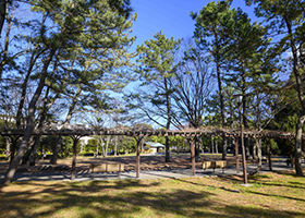 富岡八幡公園
