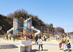 小柴自然公園