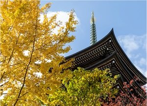 覚王山 日泰寺