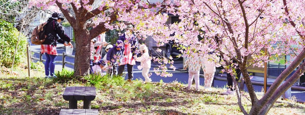 鯉ケ久保ふれあいの樹林