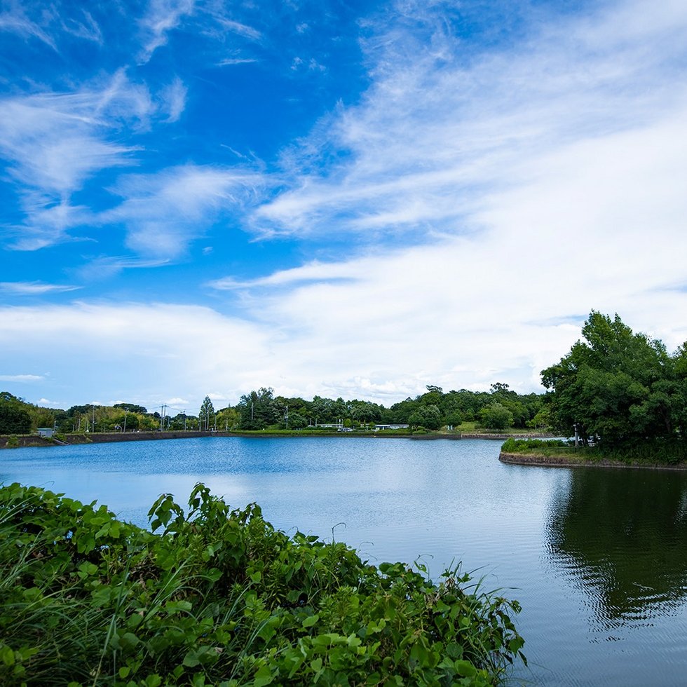 とんぼ池公園