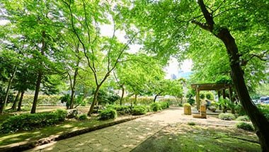 谷津の森公園