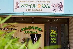 スマイルわん わんこの学校