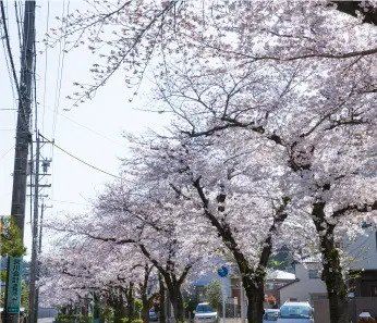 水道みち緑道