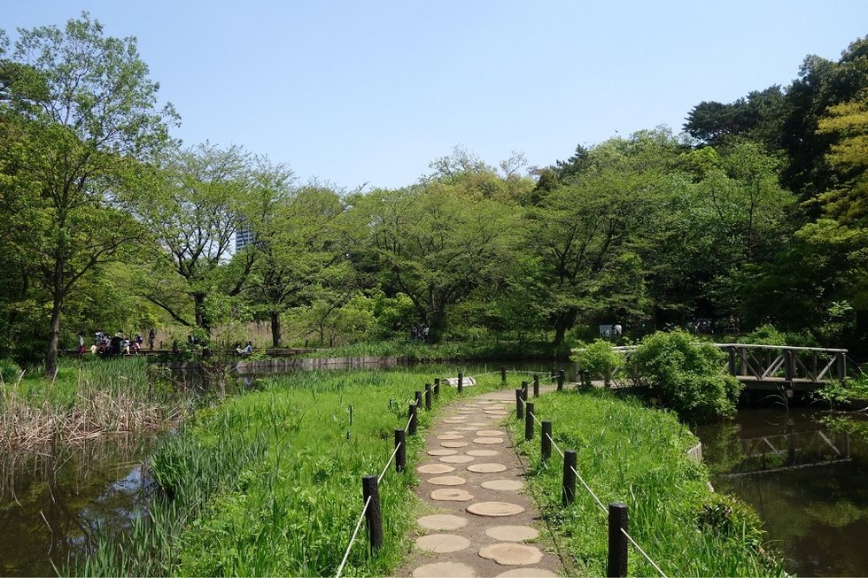 国立科学博物館附属自然教育園