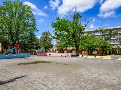 つつみ公園