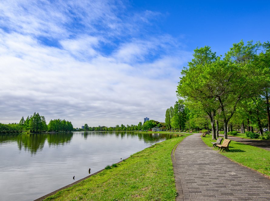 都立水元公園