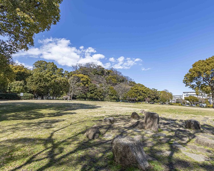 富岡総合公園