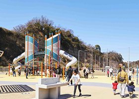 小柴自然公園