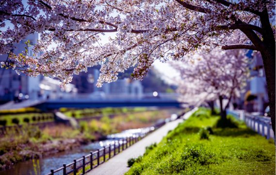 大栗川