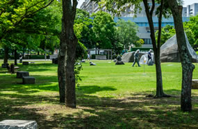 中公園