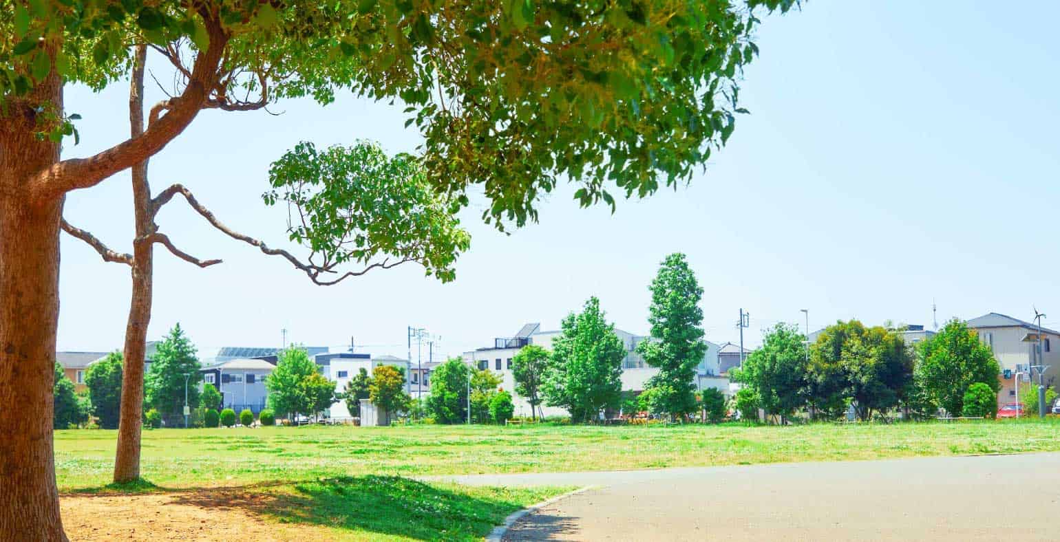 谷津奏の杜公園