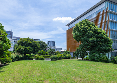 港第二公園