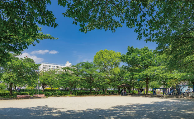芝川公園