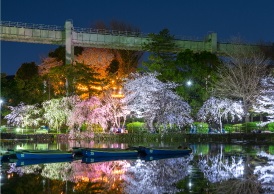 千葉公園