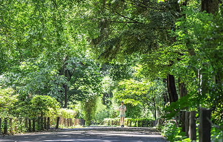 都立林試の森公園
