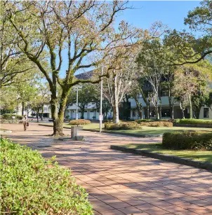 宮崎中央公園