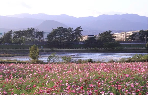 武庫川河川敷緑地