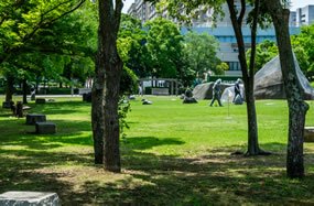 中公園