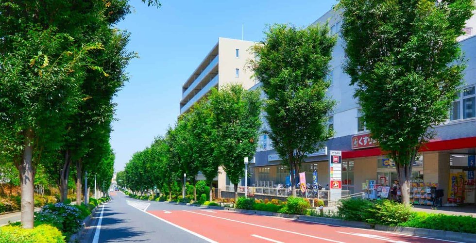 はばたきのみち