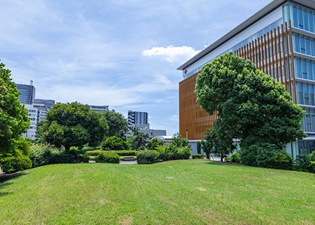 港第二公園