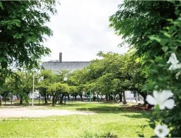 富古場公園
