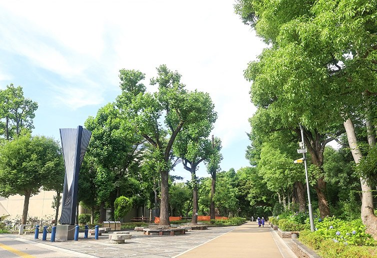 教育の森公園