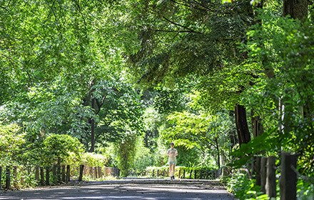 都立林試の森公園